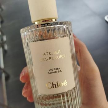 Nước hoa Chloe Atelier Des Fleurs Herba Mimosa | namperfume
